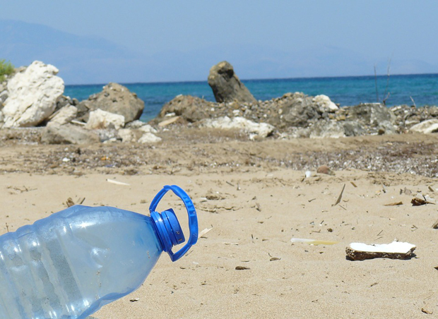 Beach clean up