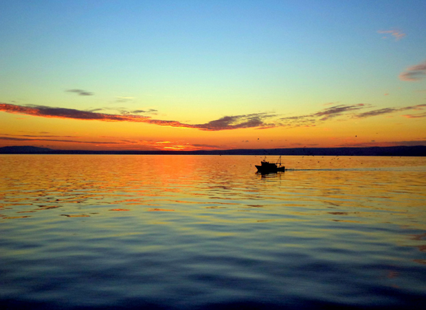 Sunset fishing